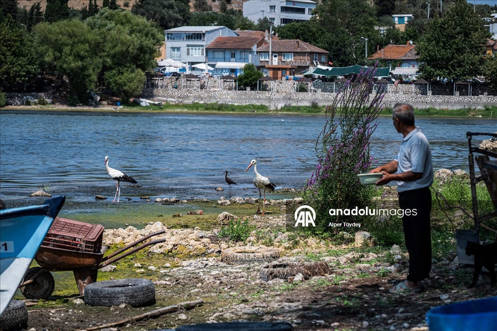 Gölyazı’da doğa ve insan yan yana
