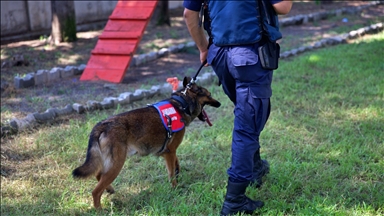 Jandarmanın hassas burunlu köpeklerinin kondisyonu antrenmanlarla korunuyor