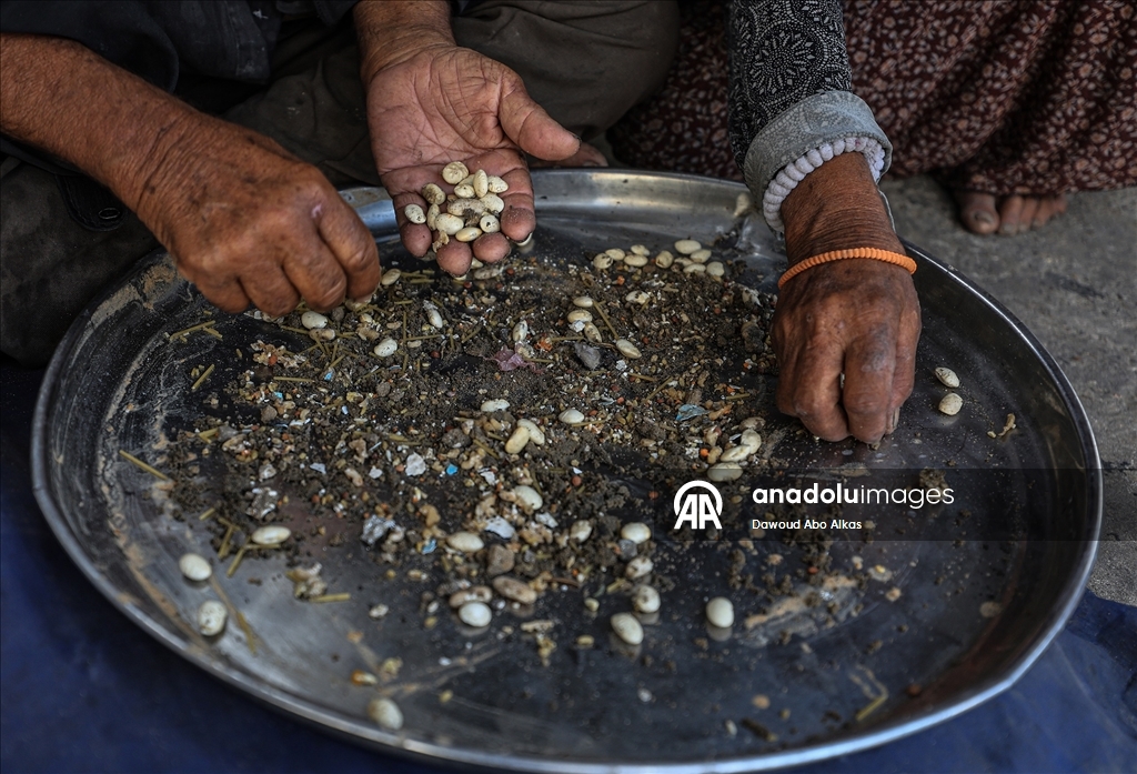 İsrail'in açlığa mahkum ettiği Gazzeliler, atık yemeklerle karınlarını doyurmaya çalışıyor