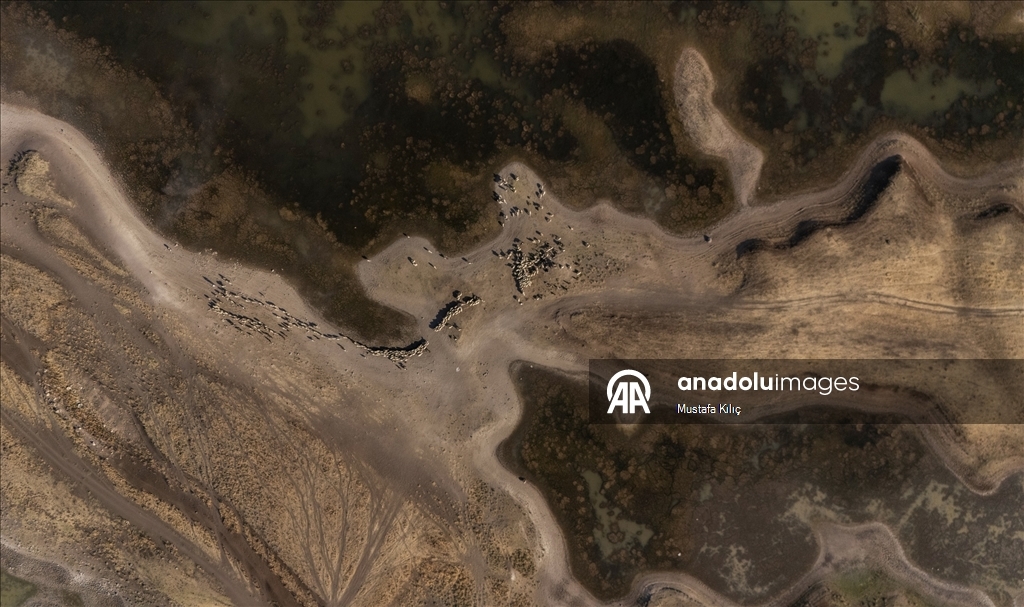 Devegeçidi Baraj Gölü’nde kuraklık alarmı