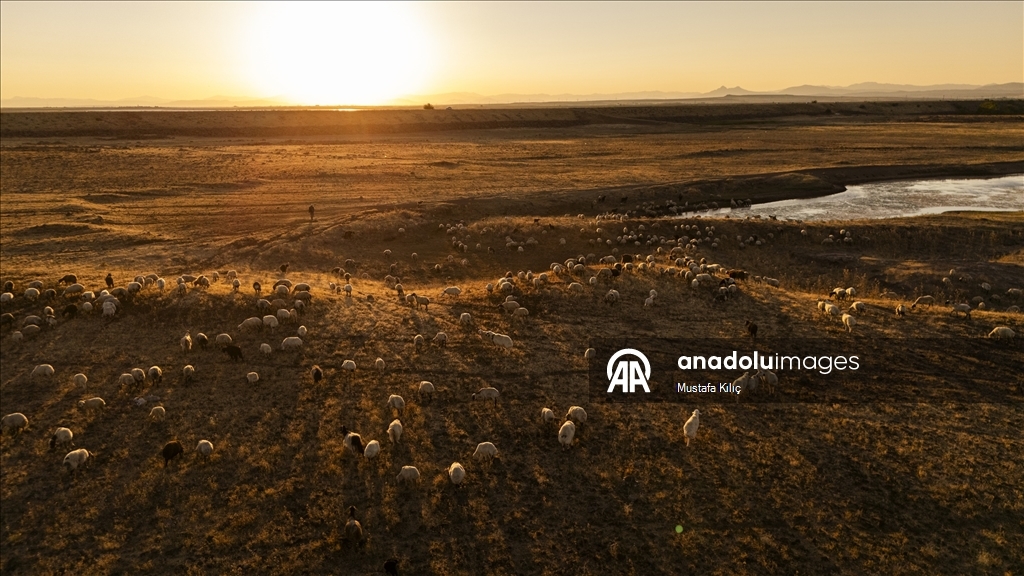 Devegeçidi Baraj Gölü’nde kuraklık alarmı