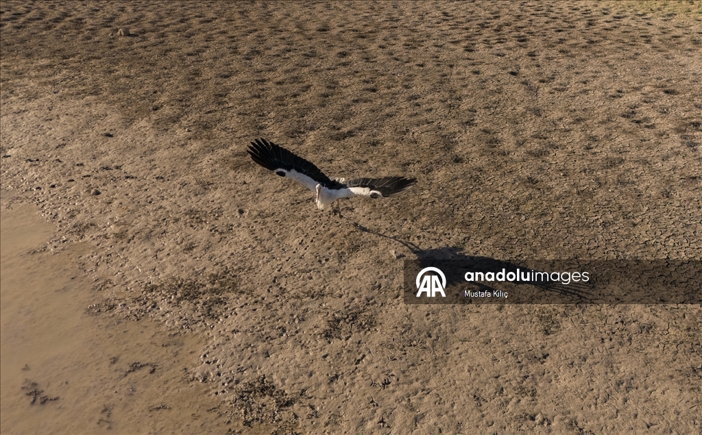 Devegeçidi Baraj Gölü’nde kuraklık alarmı