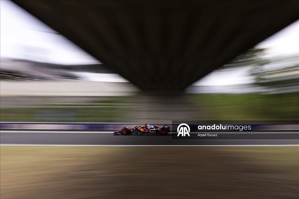 Formula 1 Macaristan Grand Prix'i