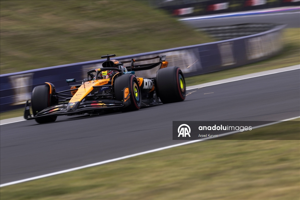 Formula 1 Macaristan Grand Prix'si