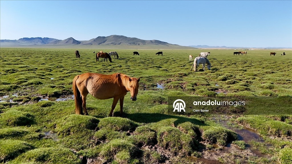 Moğolistan'da Gobi Çölü ve Cengiz Han Atlı Heykeli dron ile görüntüledi