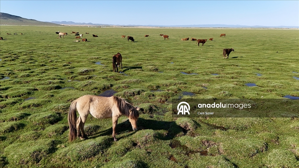 Moğolistan'da Gobi Çölü ve Cengiz Han Atlı Heykeli dron ile görüntüledi