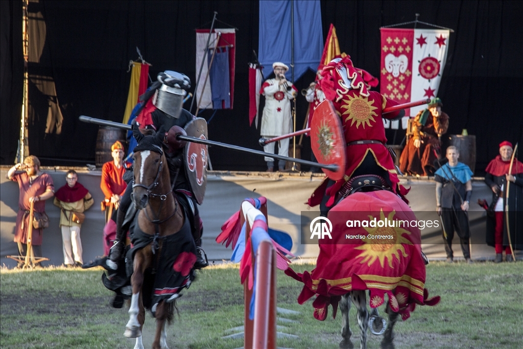 Knights Tournaments during Medieval Week in Sweden's Gotland