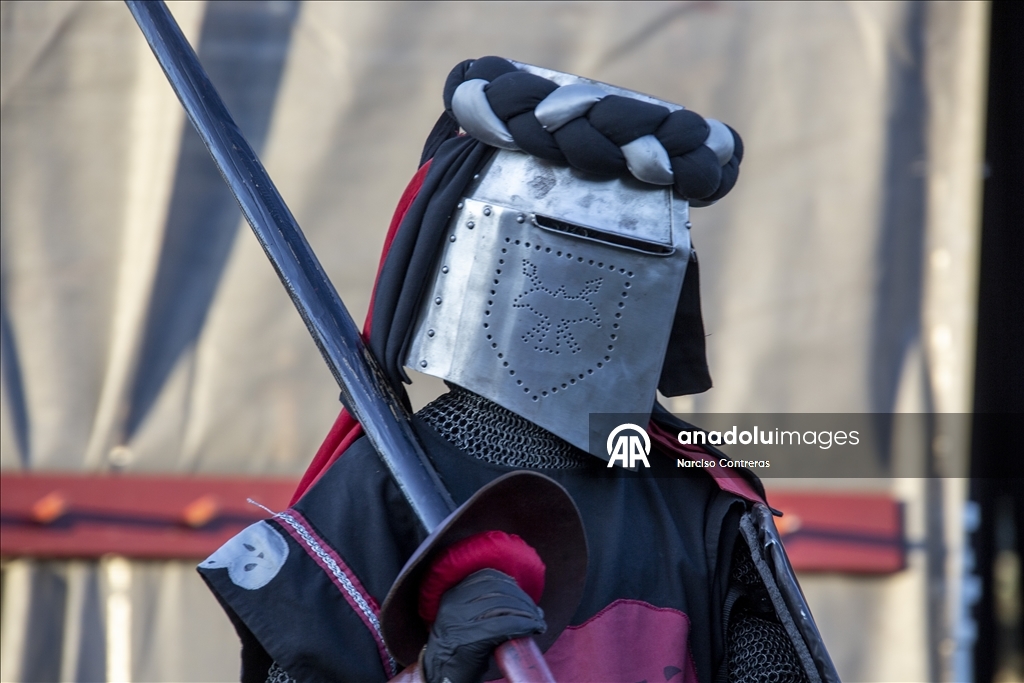 Knights Tournaments during Medieval Week in Sweden's Gotland