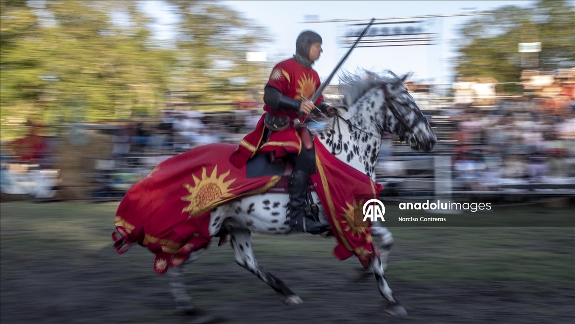 Knights Tournaments during Medieval Week in Sweden's Gotland