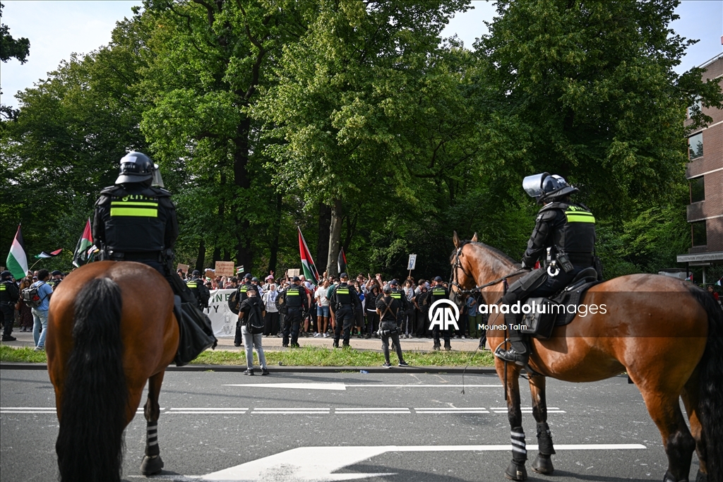 Перед парламентом Нидерландов прошла акция в поддержку Палестины: задержания и вмешательство полиции
