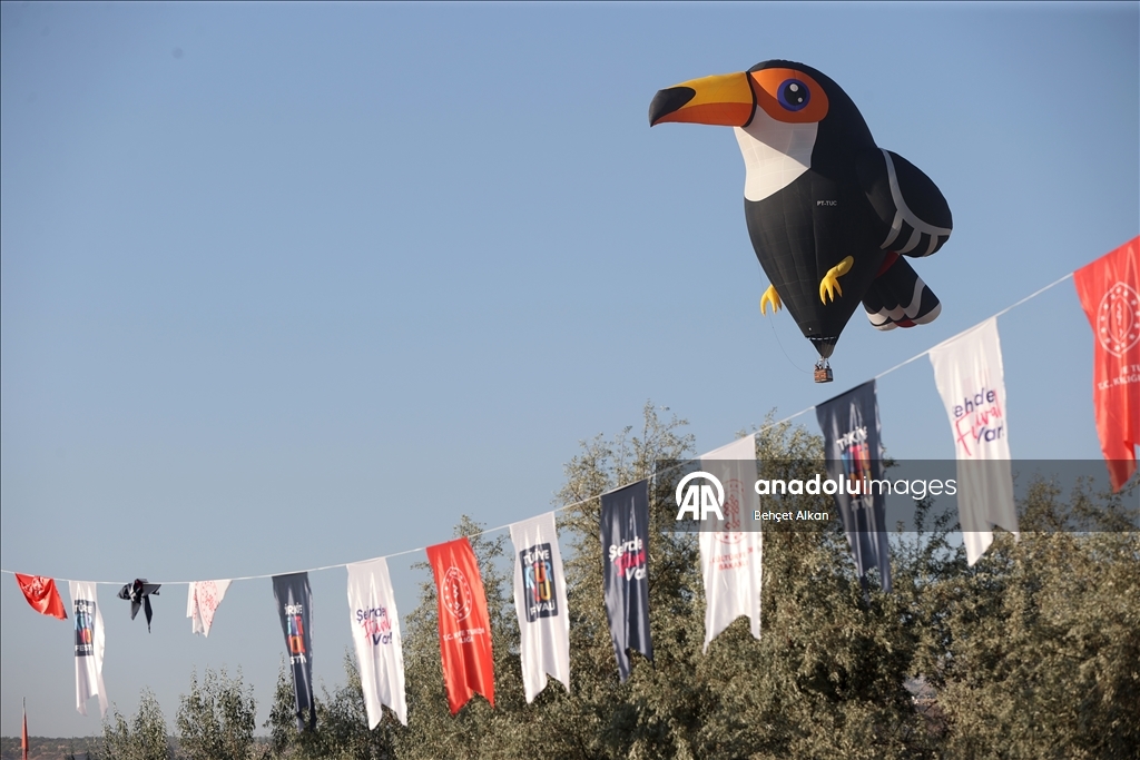 أبقار وضفادع "تطير".. مناطيد بأشكال فريدة فوق كبادوكيا التركية