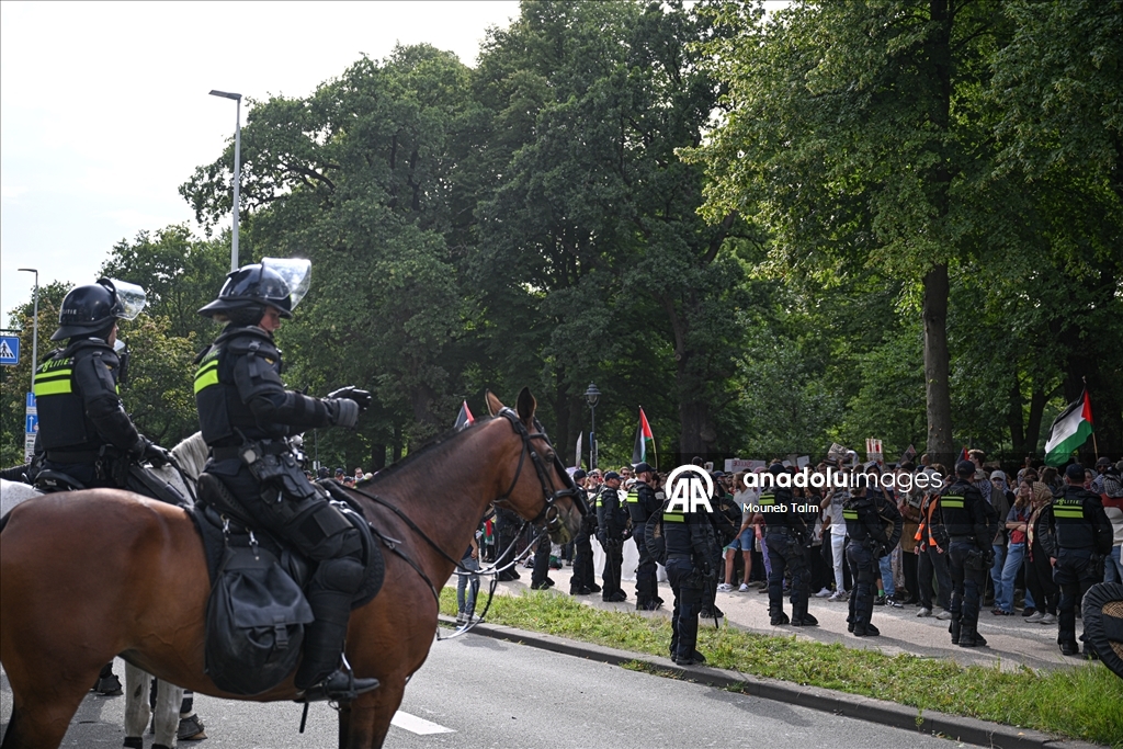 Перед парламентом Нидерландов прошла акция в поддержку Палестины: задержания и вмешательство полиции