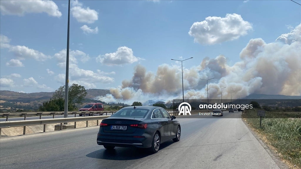 Çanakkale'de tarım arazisinde başlayıp ormana sıçrayan yangına müdahale ediliyor
