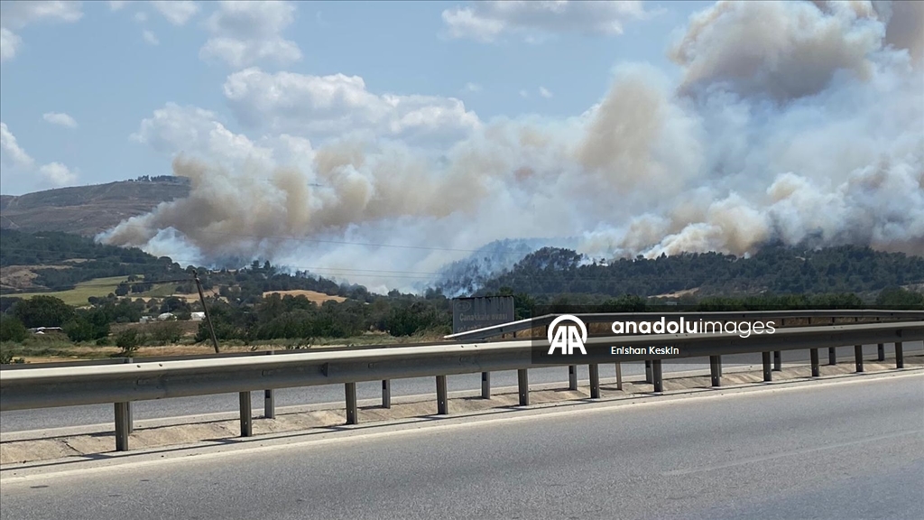Çanakkale'de tarım arazisinde başlayıp ormana sıçrayan yangına müdahale ediliyor