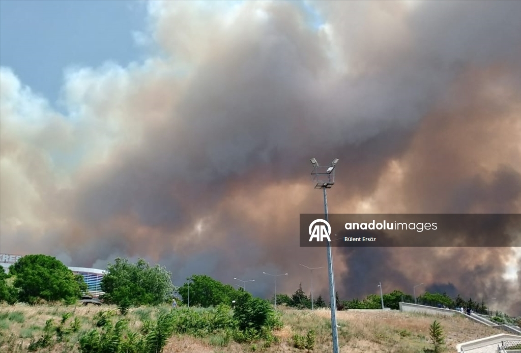 Çanakkale'de tarım arazisinde başlayıp ormana sıçrayan yangına müdahale ediliyor
