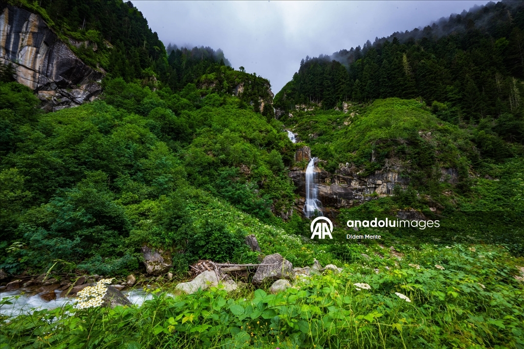 Cimil Vadisi ve Şelalesi, doğaseverlerin ilgisini çekiyor