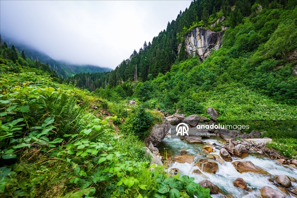 Cimil Vadisi ve Şelalesi, doğaseverlerin ilgisini çekiyor