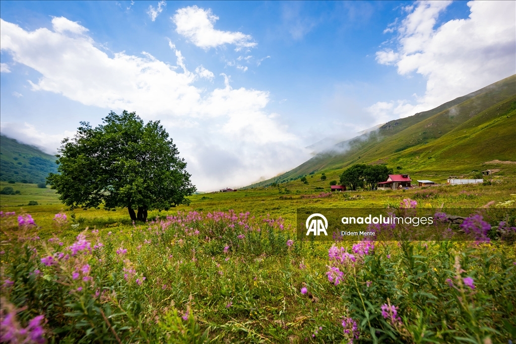 Cimil Vadisi ve Şelalesi, doğaseverlerin ilgisini çekiyor