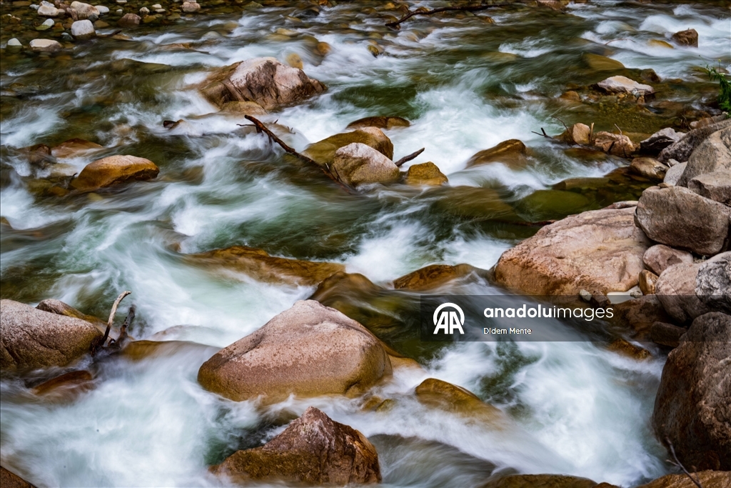 Cimil Vadisi ve Şelalesi, doğaseverlerin ilgisini çekiyor