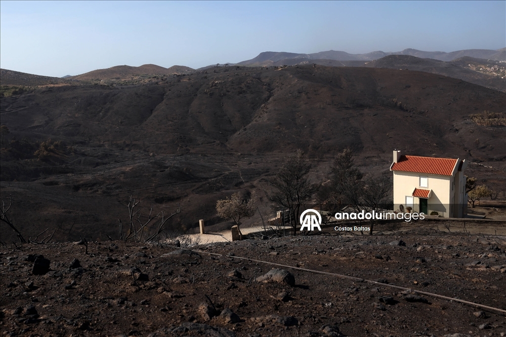 Atina yakınlarındaki Keratea'da yangın sonrası hasar görüntülendi