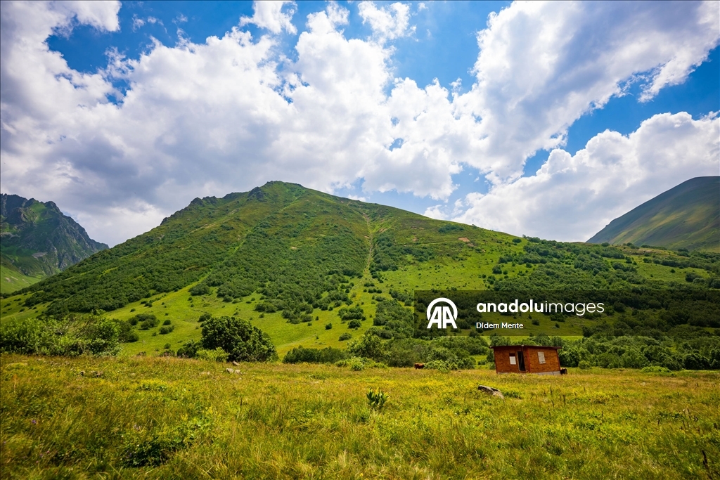 Cimil Vadisi ve Şelalesi, doğaseverlerin ilgisini çekiyor