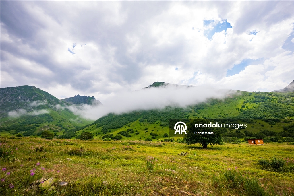 Cimil Vadisi ve Şelalesi, doğaseverlerin ilgisini çekiyor