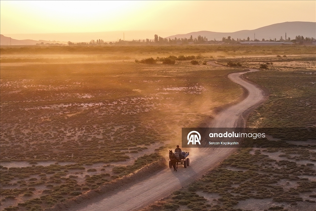 Dedesinin yolundan giderek Palas Tuzla Gölü'nden geleneksel yöntemlerle tuz çıkarıyor