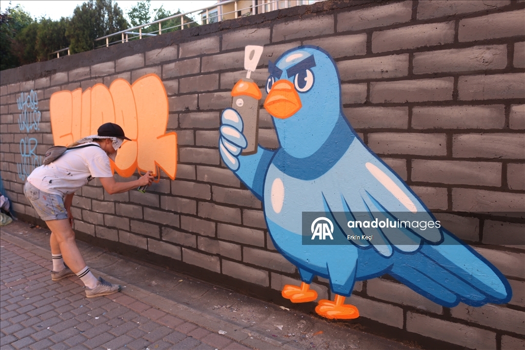 Graffiti festival in Kosovo