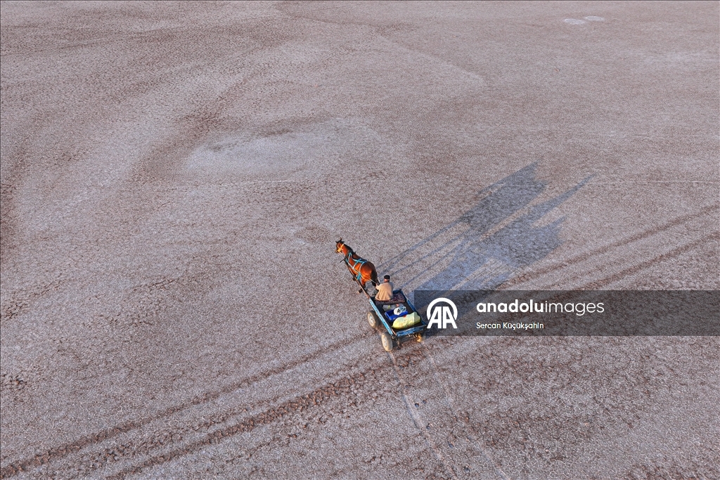 Dedesinin yolundan giderek Palas Tuzla Gölü'nden geleneksel yöntemlerle tuz çıkarıyor