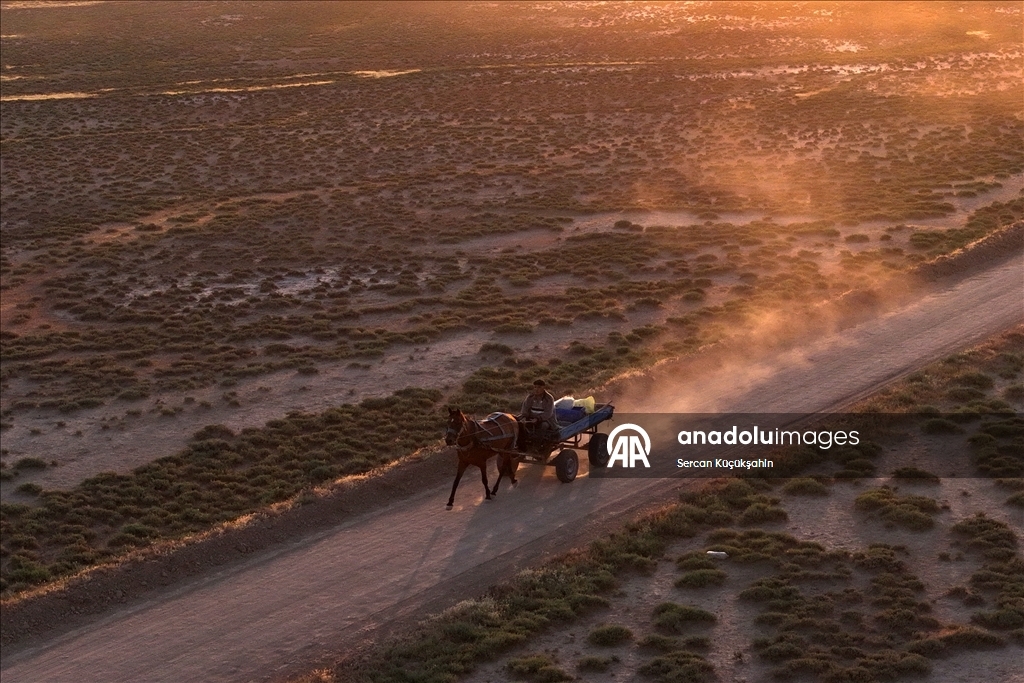 Dedesinin yolundan giderek Palas Tuzla Gölü'nden geleneksel yöntemlerle tuz çıkarıyor