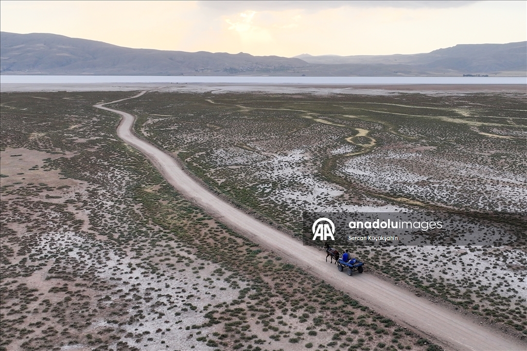 Dedesinin yolundan giderek Palas Tuzla Gölü'nden geleneksel yöntemlerle tuz çıkarıyor