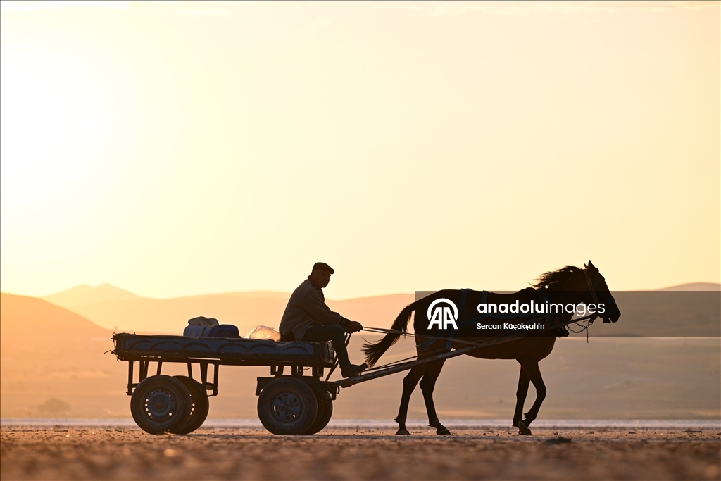 Dedesinin yolundan giderek Palas Tuzla Gölü'nden geleneksel yöntemlerle tuz çıkarıyor