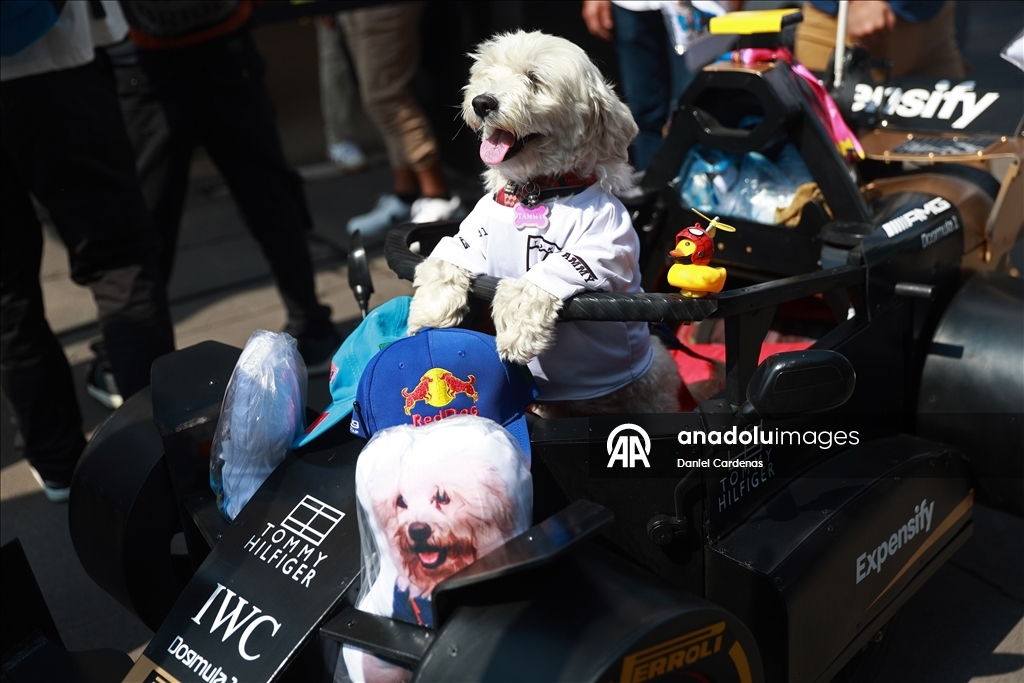 Mexico City Historic Grand Prix