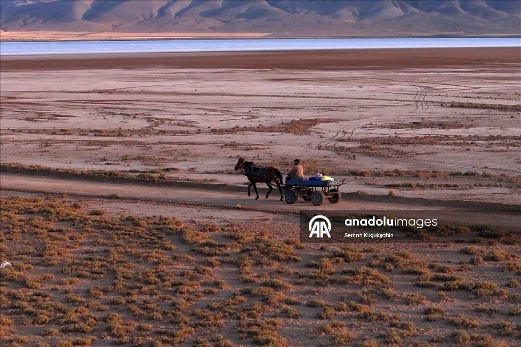 Dedesinin yolundan giderek Palas Tuzla Gölü'nden geleneksel yöntemlerle tuz çıkarıyor