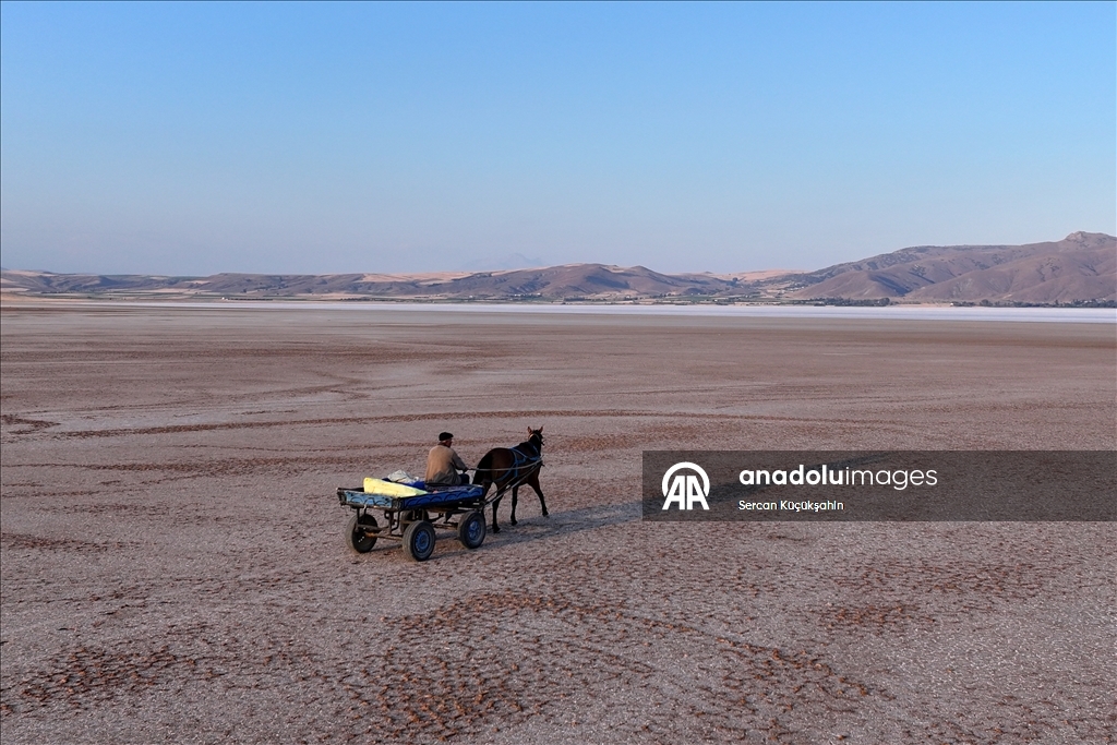 Dedesinin yolundan giderek Palas Tuzla Gölü'nden geleneksel yöntemlerle tuz çıkarıyor