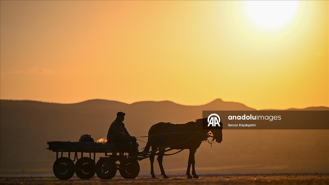 Dedesinin yolundan giderek Palas Tuzla Gölü'nden geleneksel yöntemlerle tuz çıkarıyor