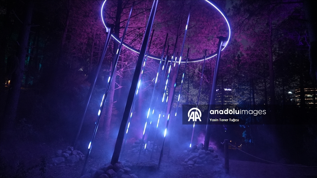 Захватывающие ночные прогулки Astra Lumina в Стамбуле