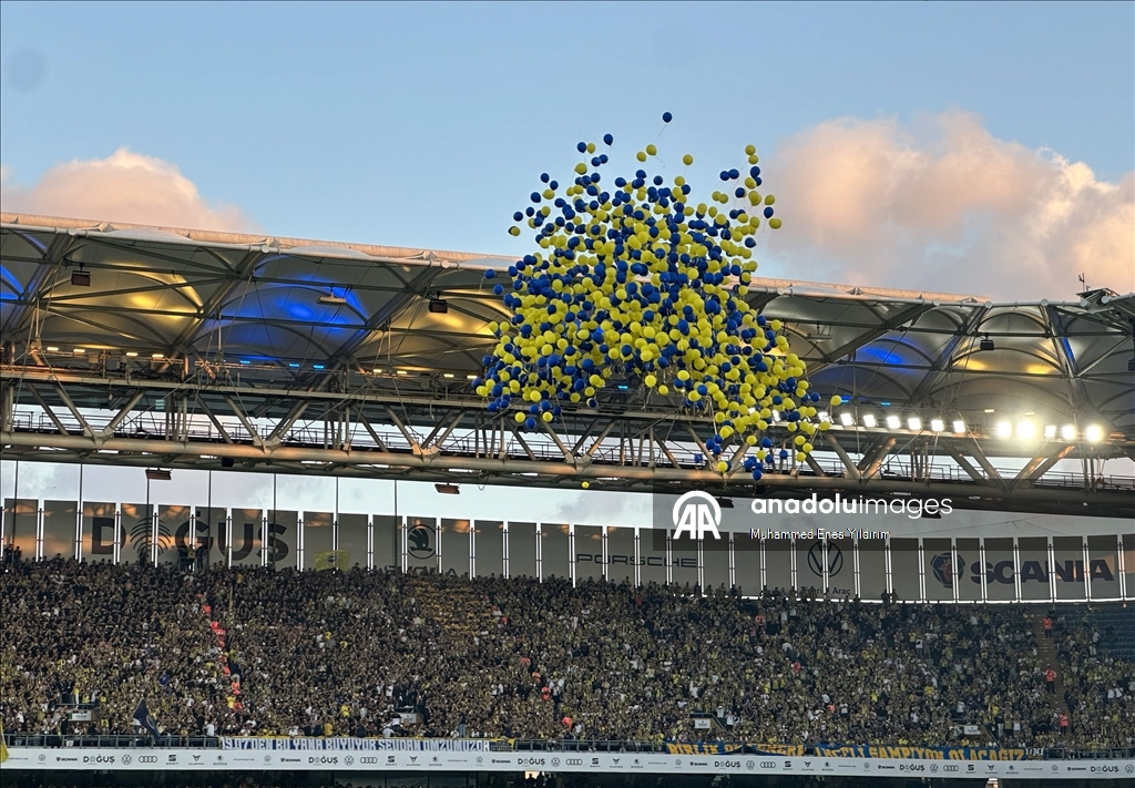 Fenerbahçe - Feyenoord