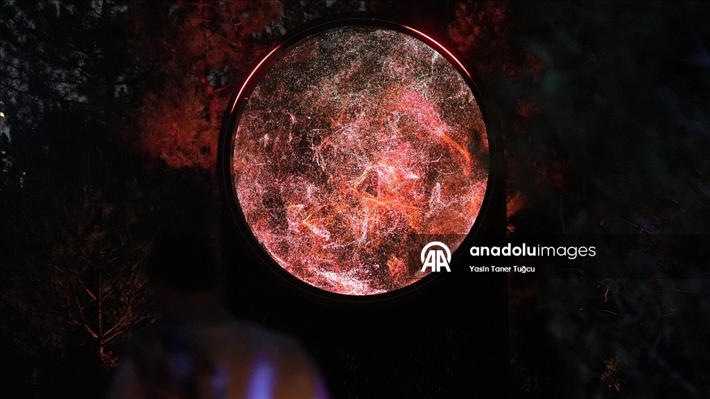 Захватывающие ночные прогулки Astra Lumina в Стамбуле