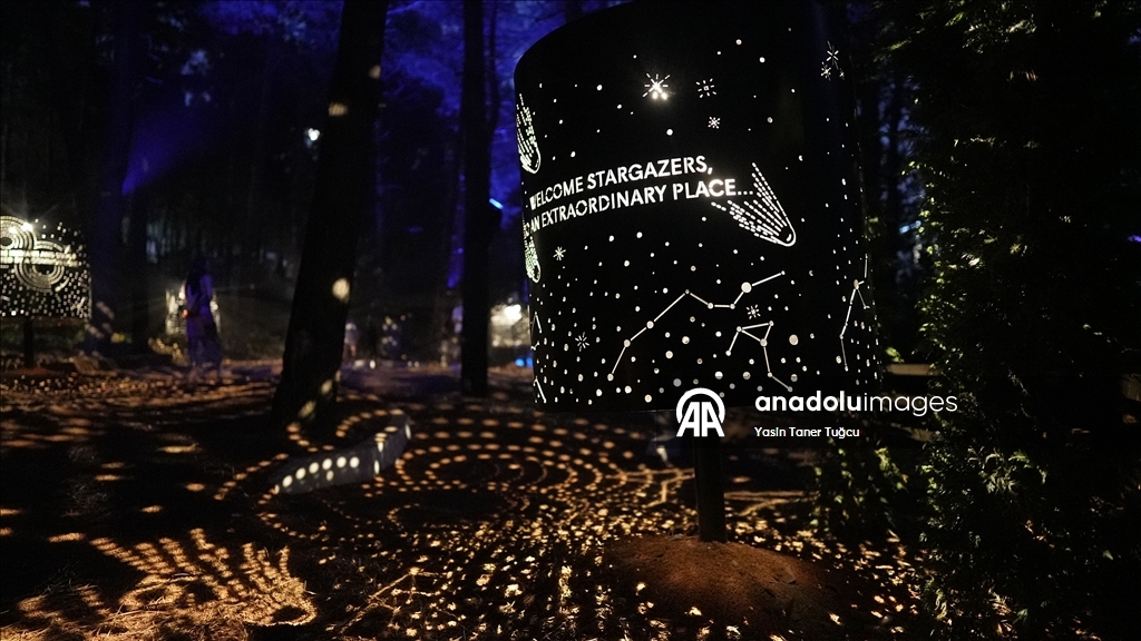 Захватывающие ночные прогулки Astra Lumina в Стамбуле