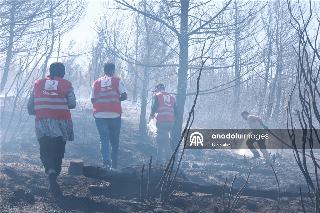 Türk Kızılay, hazirandan bu yana 127 orman yangınına müdahaleye destek sağladı