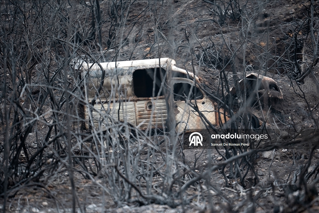 Aftermath of wildfire in Spain