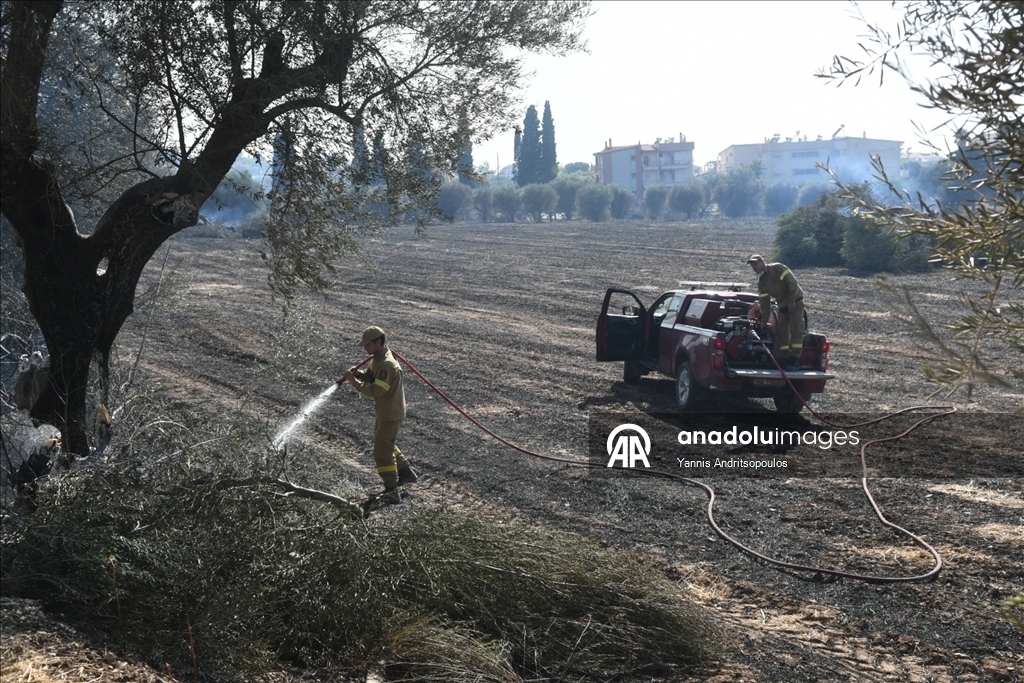 Yunanistan orman yangınları ile mücadele ediyor
