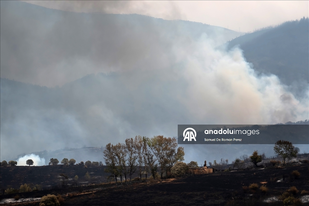 Aftermath of wildfire in Spain