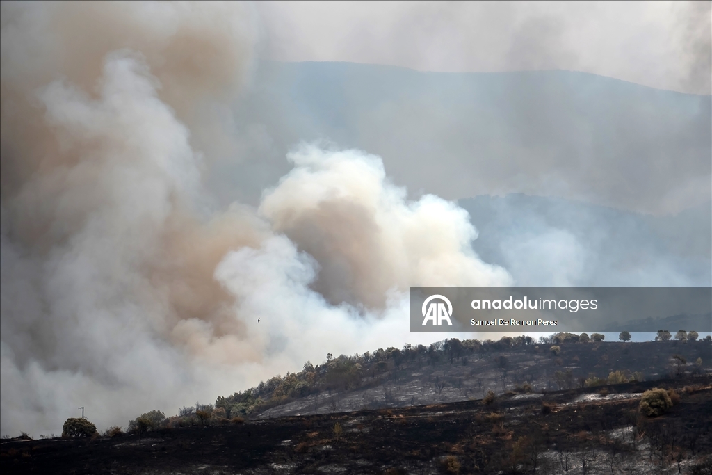 Aftermath of wildfire in Spain