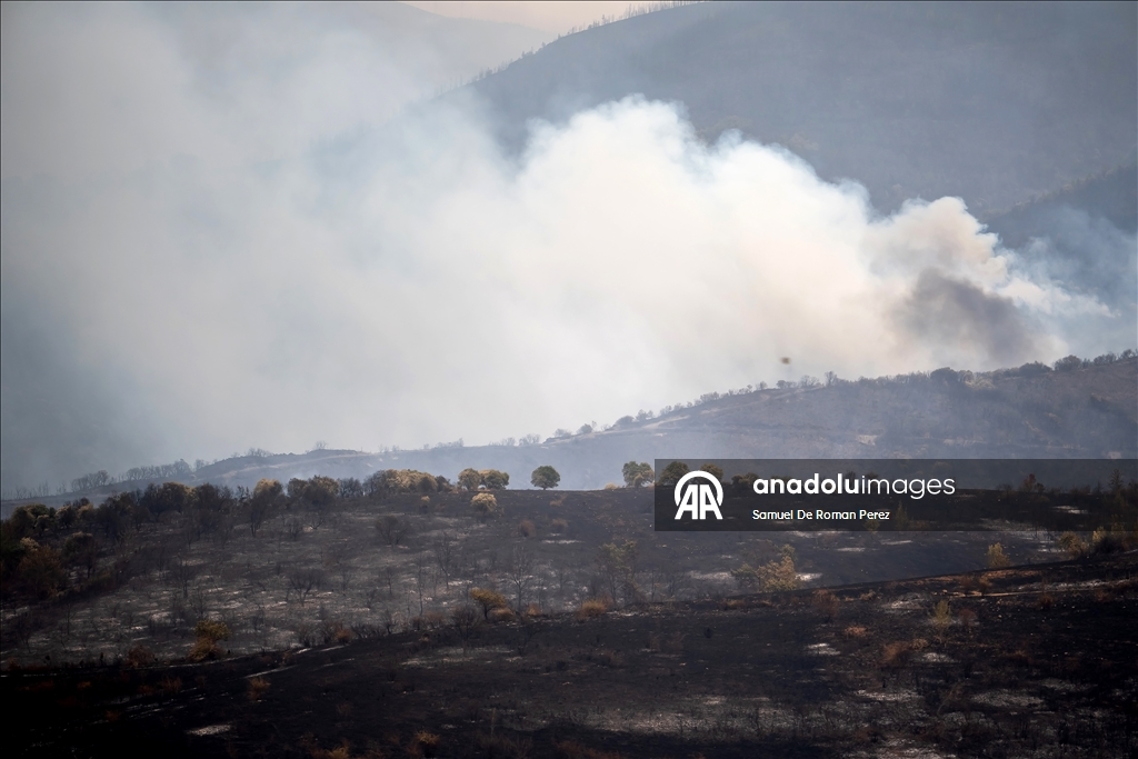 Aftermath of wildfire in Spain