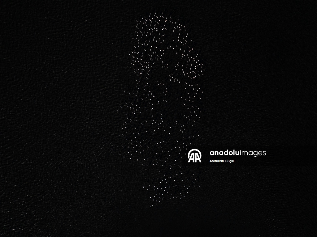 Gelingüllü Barajı’nın zarif misafirleri: Flamingolar