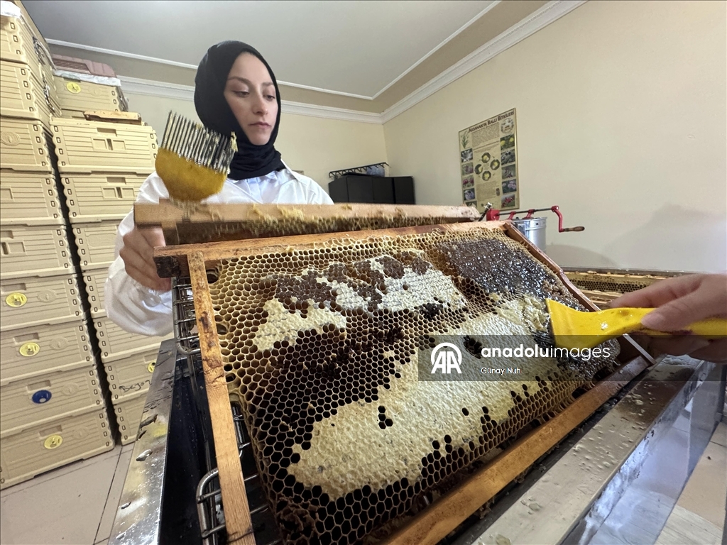 Coğrafi işaretli Ardahan çiçek balının hasadı bereketli başladı