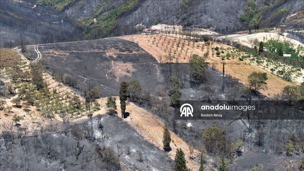 Kocaeli'de orman yangınından etkilenen alanlar havadan görüntülendi