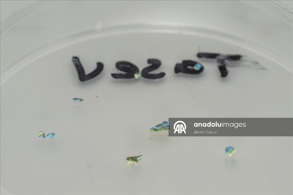 Bilim İnsanları Arktik Okyanusu’nda Mikroplastik, Deniz Ekos